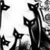 Blackcats