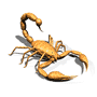 Scorpion