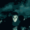 Gif231