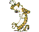 Gif426