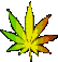 Gif430